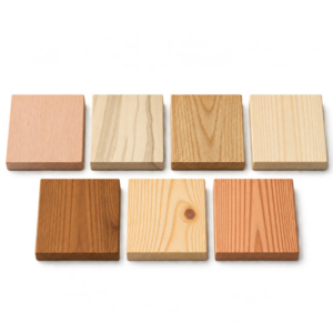 Sedm vzorků dřevin – buk, jasan, dub, smrk, Thermowood, borovice a modřín